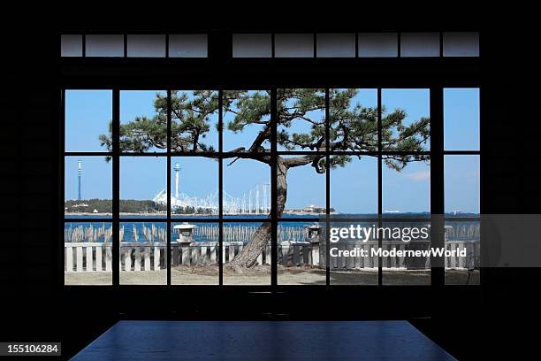 the pine tree over the window - shoji fotografías e imágenes de stock