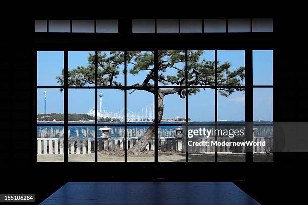 the pine tree over the window - washitsu stock pictures, royalty-free photos & images