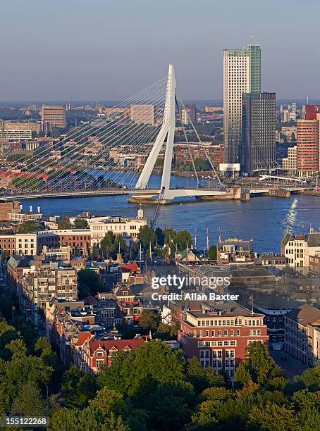 elevated view of erasmusbrug (erasmus bridge) - erasmusbrug stock pictures, royalty-free photos & images