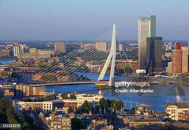 aerial view of erasmusbrug (erasmus bridge) - rotterdam bridge stock pictures, royalty-free photos & images