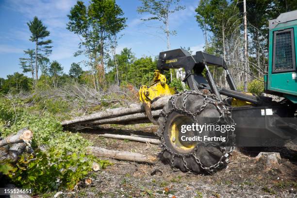 protokollierung grapple skidder in der bush heben effekte - forest machine stock-fotos und bilder