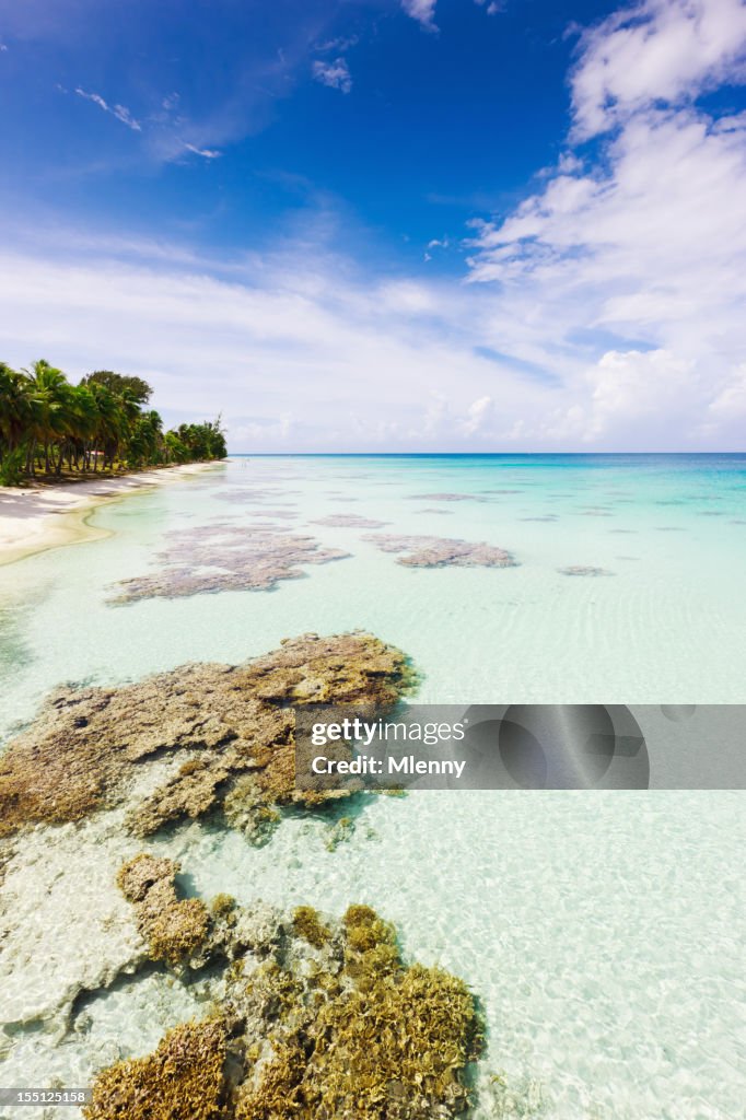 Rifugio sotto le palme sulla spiaggia perfetto Fakarava Polinesia francese