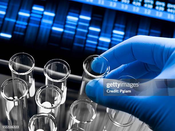 genetic research at the laboratory - forensic science lab stock pictures, royalty-free photos & images