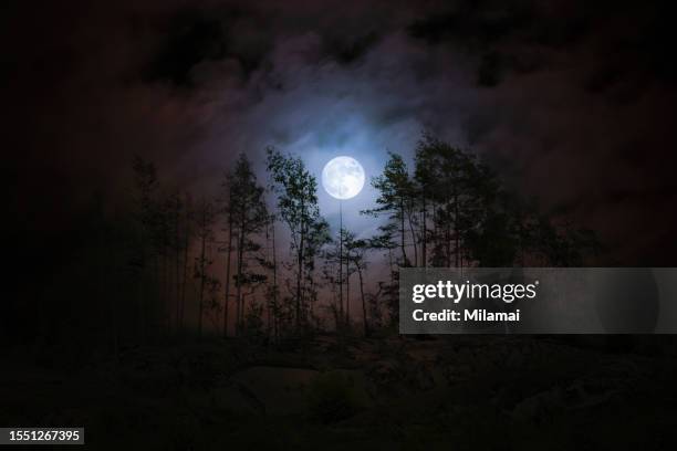 full moon shining in the dark forest - pleine lune photos et images de collection