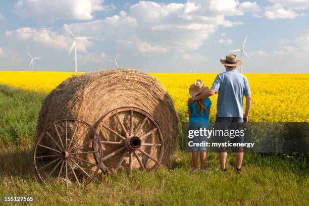 wind turbine - manitoba stock pictures, royalty-free photos & images