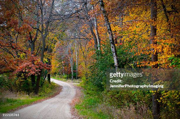 vividly colored picture of dirt road in forest during autumn - iowa stock pictures, royalty-free photos & images