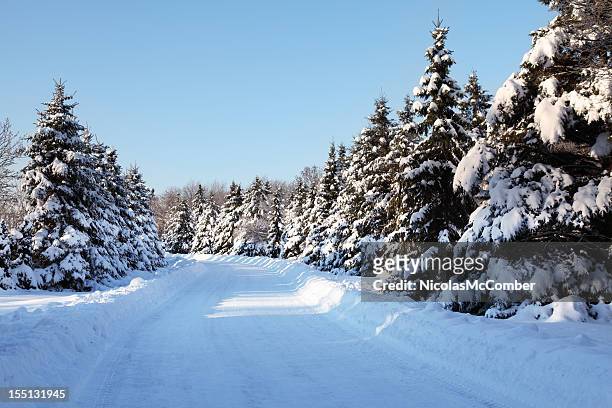 route d'hiver - route sapin neige photos et images de collection