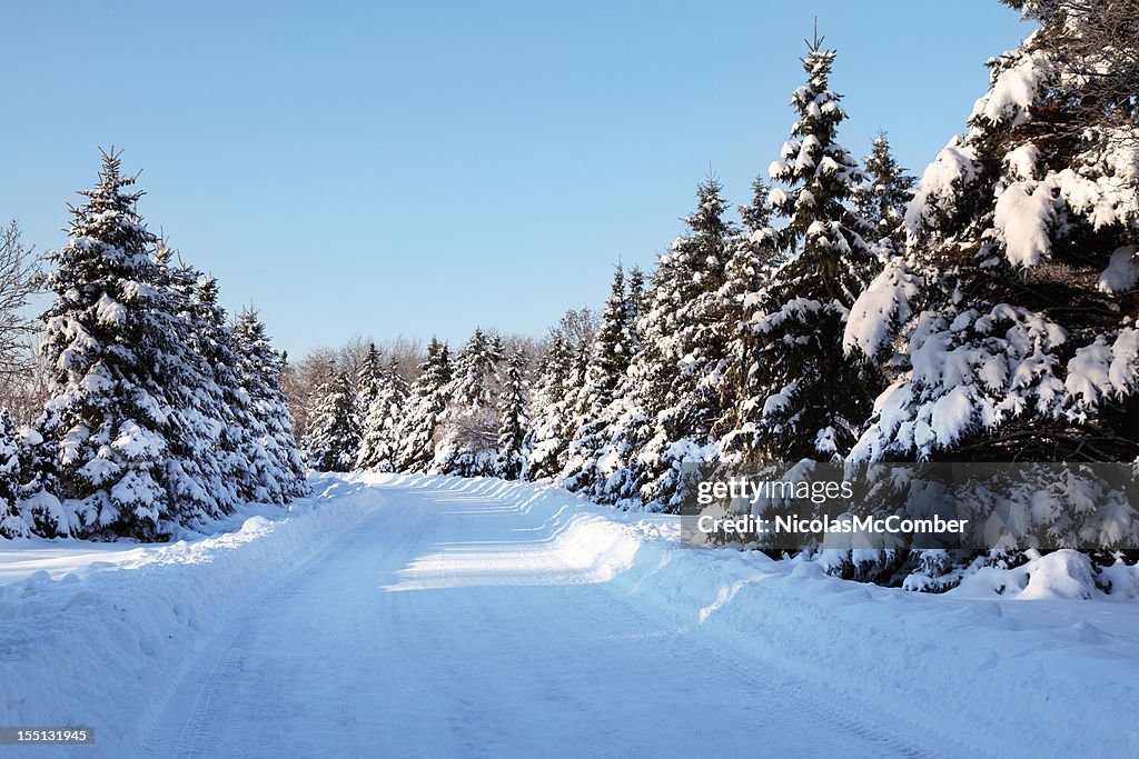 Winter Road