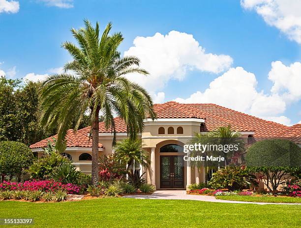 new luxury home with tropical garden - tropical garden stockfoto's en -beelden