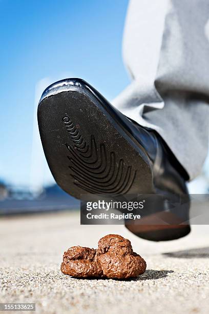 maschio pedonale scarpa intelligente di mettere piede in cane feci - cacca foto e immagini stock