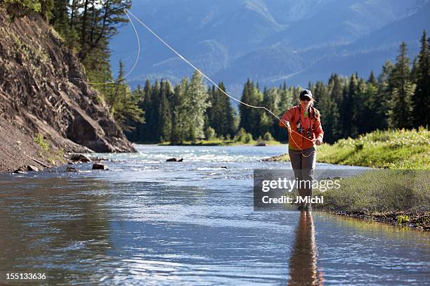 fly fishing - casting stock pictures, royalty-free photos & images