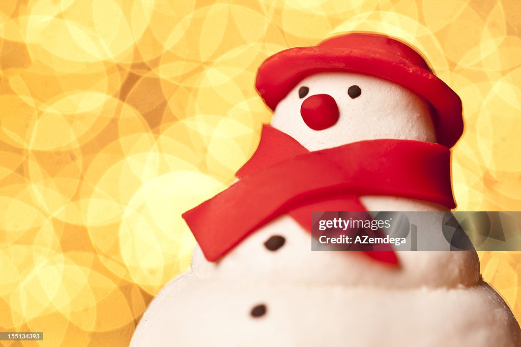 Boneco de Neve, Retrato