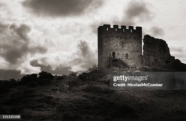 moody old castle ruin - fortress stock pictures, royalty-free photos & images