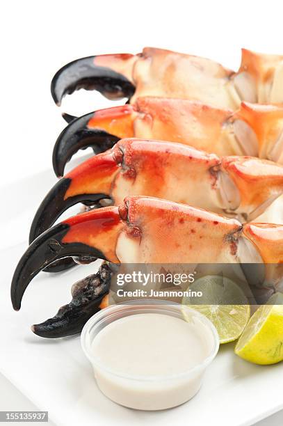 florida stone crab - florida stone crab stockfoto's en -beelden