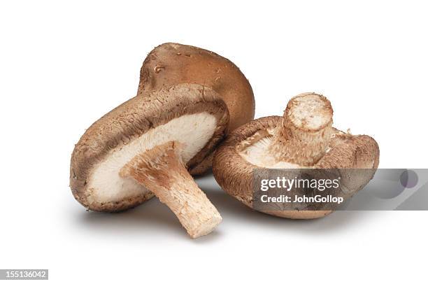 three shiitake mushrooms isolated on a white background - shiitake mushroom stockfoto's en -beelden