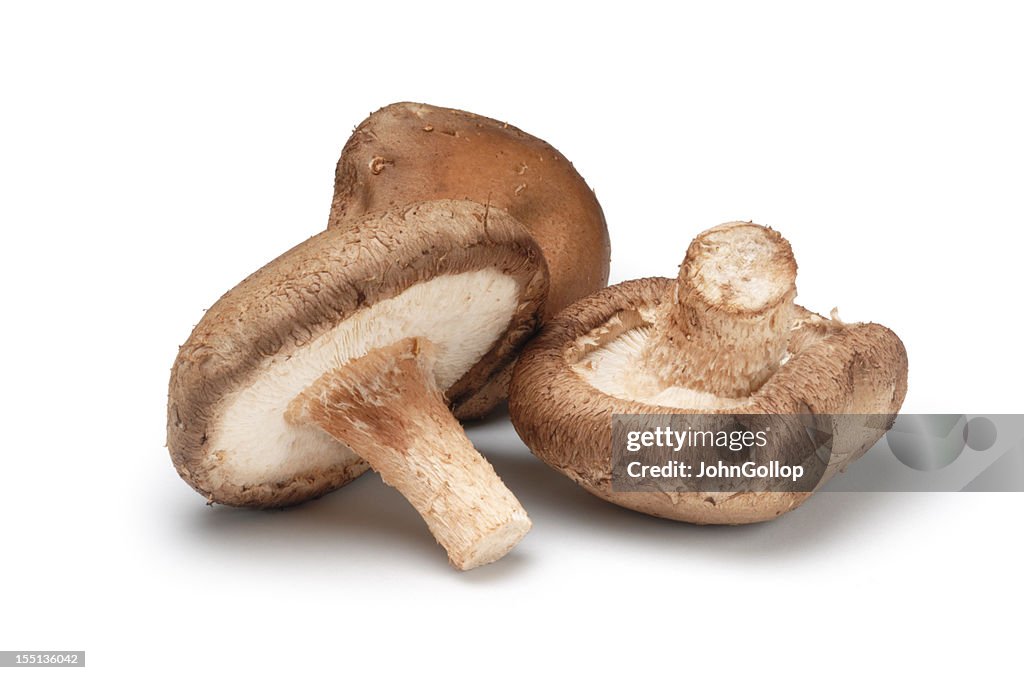 Three shiitake mushrooms isolated on a white background