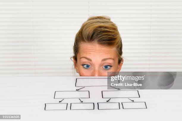 junge geschäftsfrau blick auf organigramm - organigramm stock-fotos und bilder