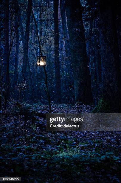 mystical forest away - japanese fall foliage stock pictures, royalty-free photos & images