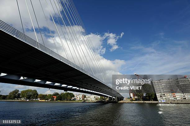 cable-stayed bridge prins clausbrug in utrecht the netherlands - utrecht stockfoto's en -beelden