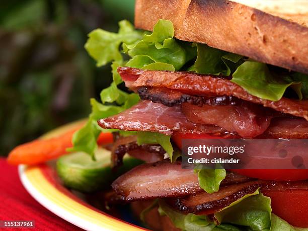 blt sandwich on toast - krulandijvie stockfoto's en -beelden