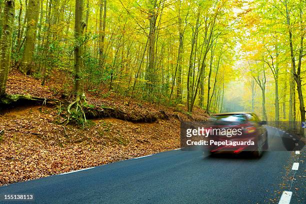 estrada na bela floresta no outono - car rear imagens e fotografias de stock