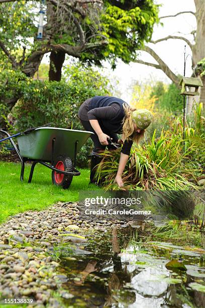 autumn garden chores - pond stock pictures, royalty-free photos & images