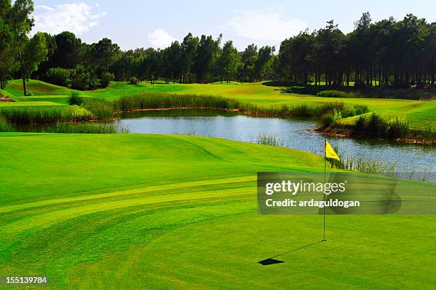 campo de golf - green de golf fotografías e imágenes de stock