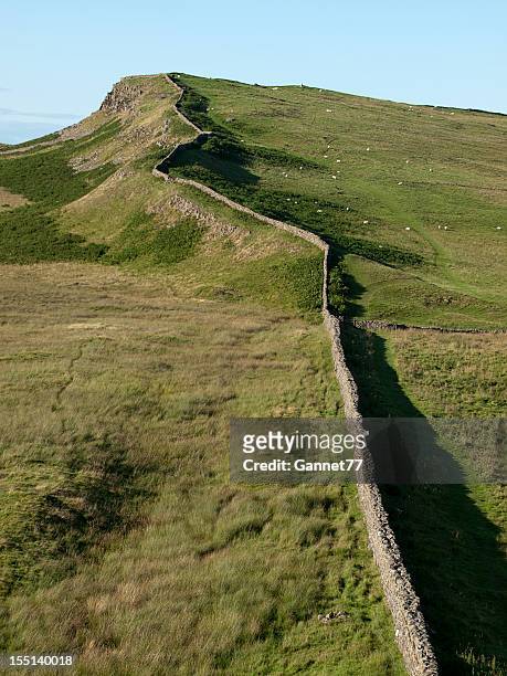 hadrian's wall, northumberland - hadrians wall stock pictures, royalty-free photos & images