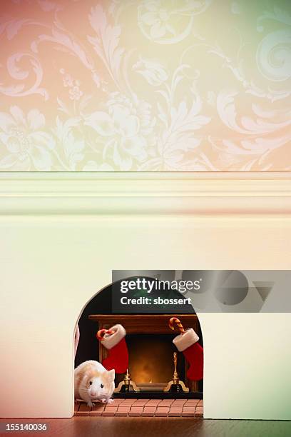 mouse hole at christmas - mouse hole stock pictures, royalty-free photos & images