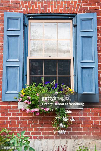 blue shutters - window box stock pictures, royalty-free photos & images