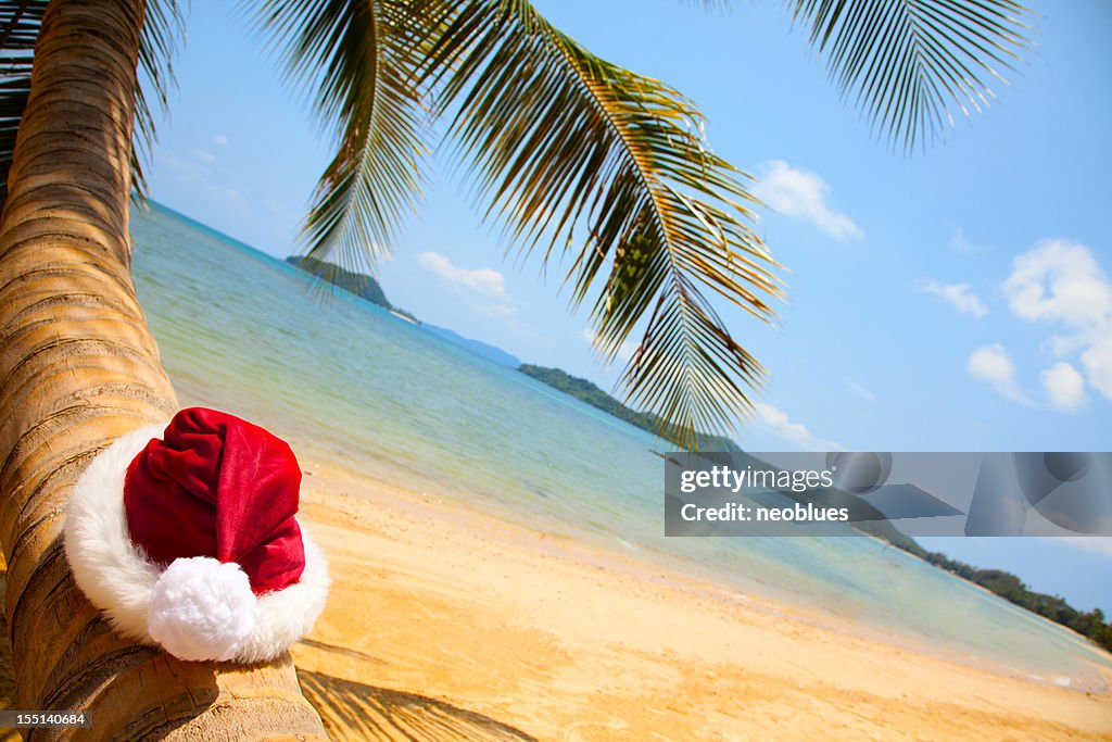 Santa hat resting on Palm tree in the tropics