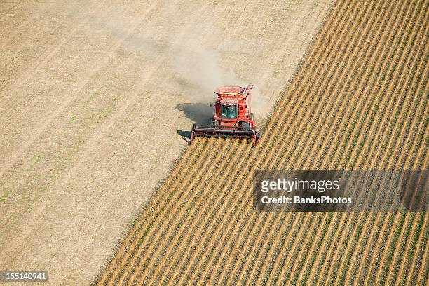 red combine harvesting fall soybean field aerial - harvesting stock pictures, royalty-free photos & images