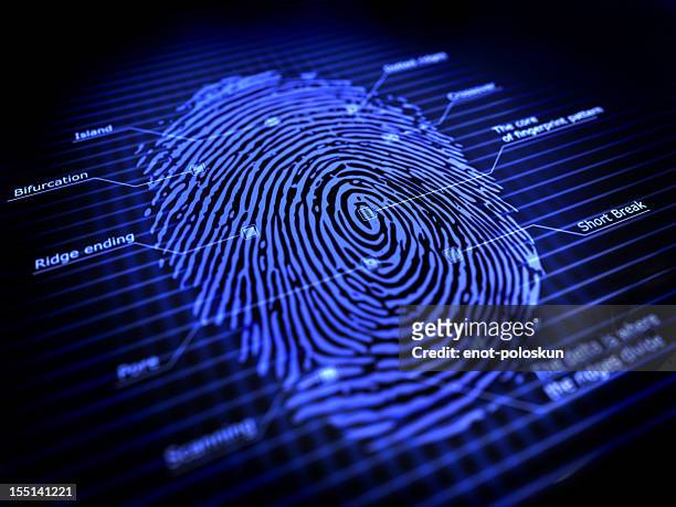 fingerprint - forensic stock pictures, royalty-free photos & images