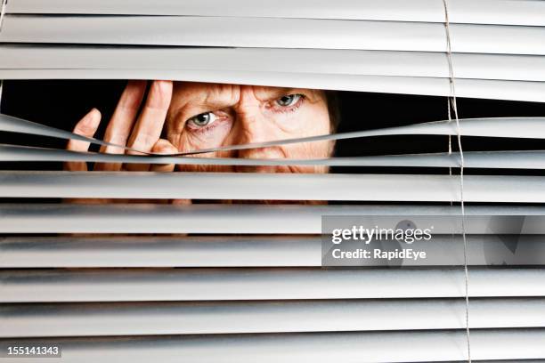 sad confused old woman peeps through venetian blinds - nosy stock pictures, royalty-free photos & images