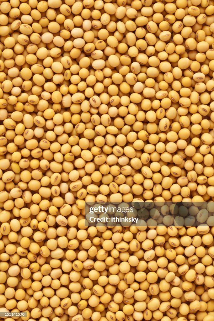 Soybean