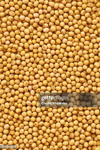 soybean - grain texture stock pictures, royalty-free photos & images