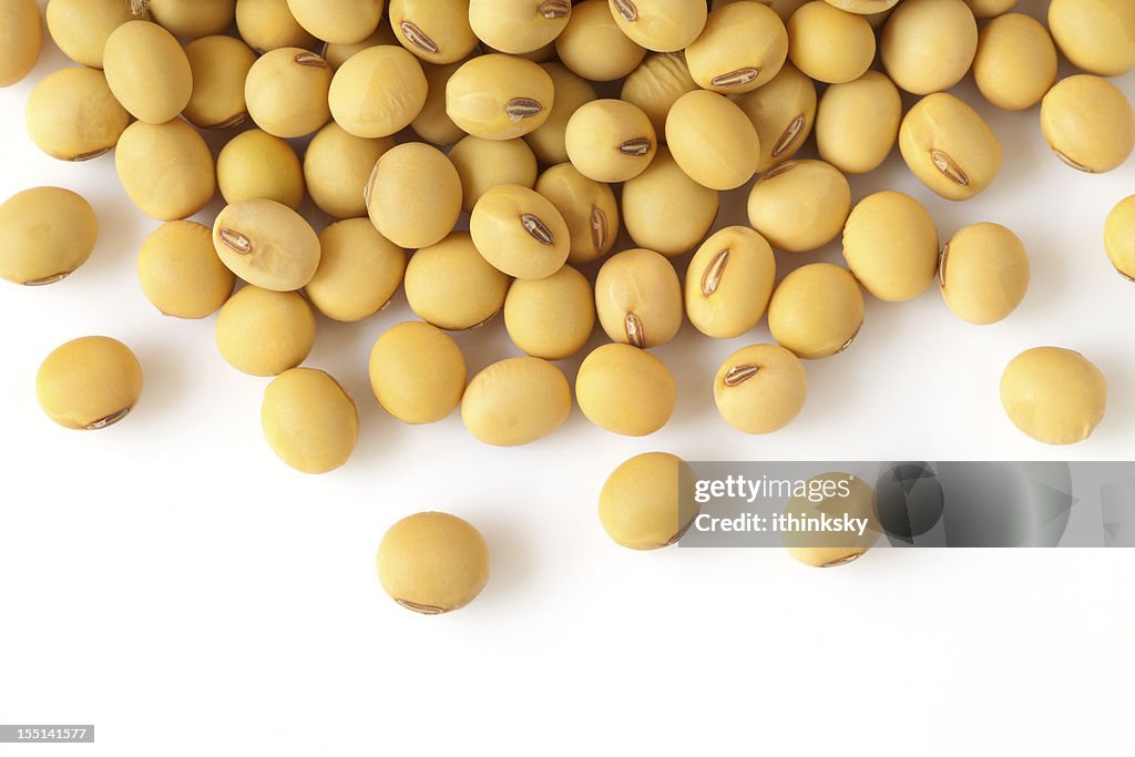 Soybean