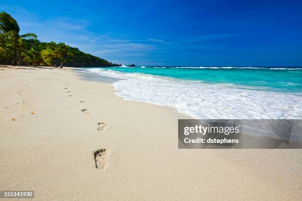 footprints in sand - beach footprints stock pictures, royalty-free photos & images