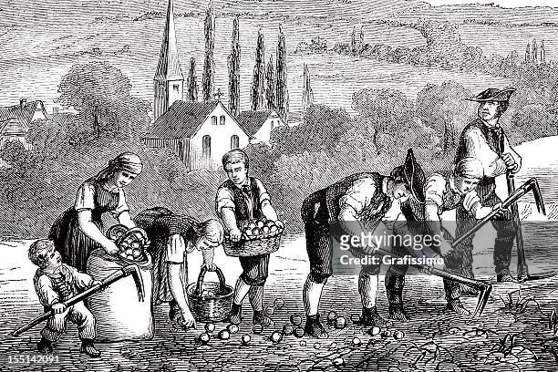 engraving farmers harvesting potato field 1835 - village harvest stock illustrations