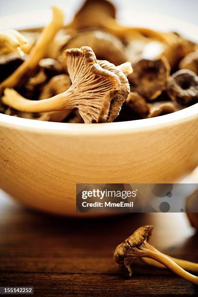 funnel chanterelles - cantharellus tubaeformis stock pictures, royalty-free photos & images
