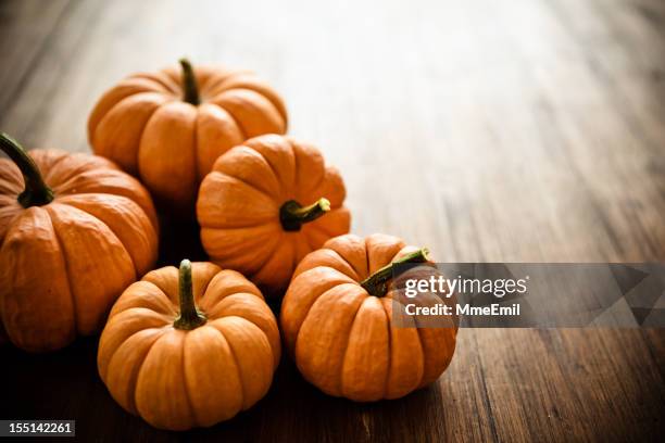 pumpkins - fall harvest table stock pictures, royalty-free photos & images