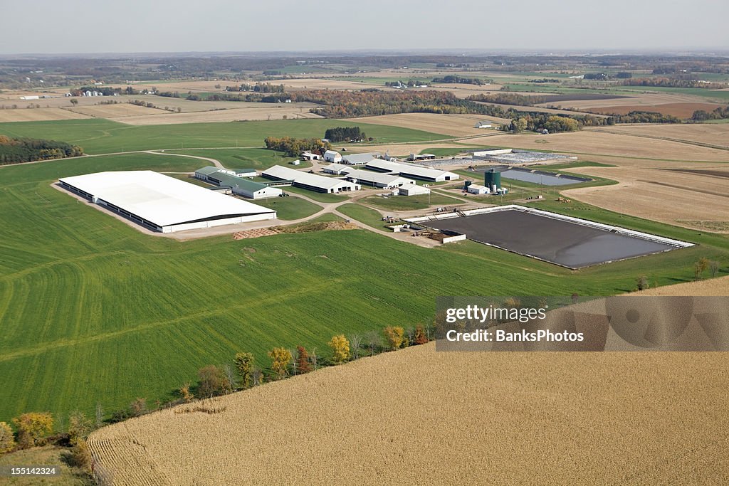 Large Modern Dairy Farm Operation Fall Aerial