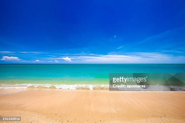 paradisaical tropical golden sand hawaiian beach - het grote eiland hawaï eilanden stockfoto's en -beelden