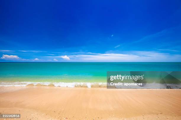 paradisaical tropical golden sand hawaiian beach - hawaii panoramic stock pictures, royalty-free photos & images