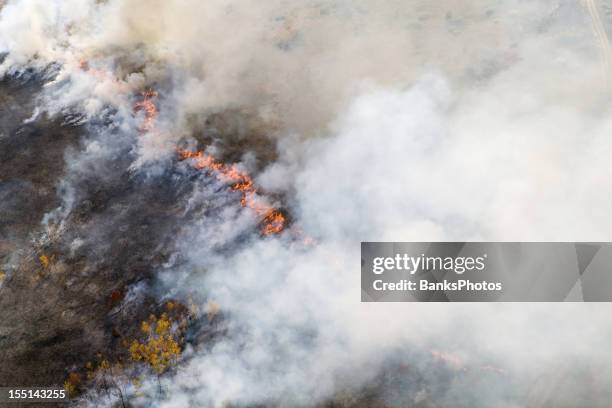 wildfire line with flames and smoke aerial - grass clearcut stock pictures, royalty-free photos & images