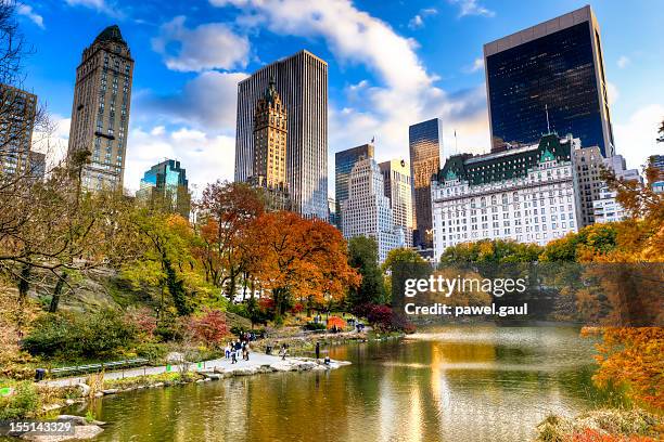 central park en nueva york durante la temporada de otoño - manhattan autumn fotografías e imágenes de stock