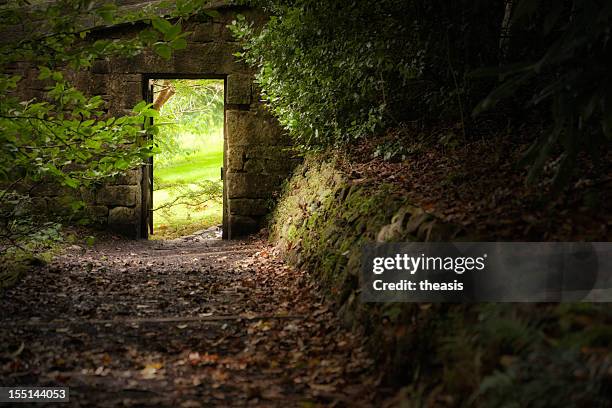 secret garden gate - stone wall garden stock pictures, royalty-free photos & images