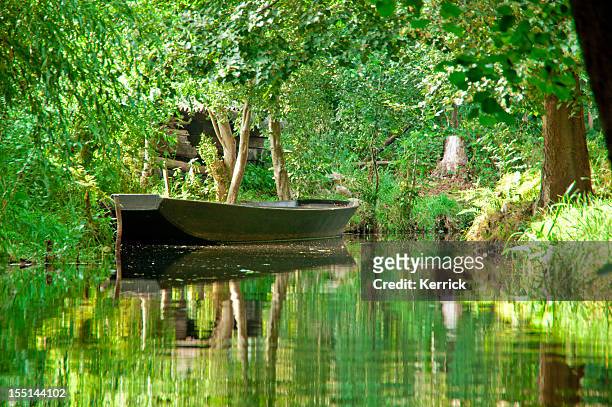 river landscape with green forest in spreewald/ germany - 史普雷 個照片及圖片檔