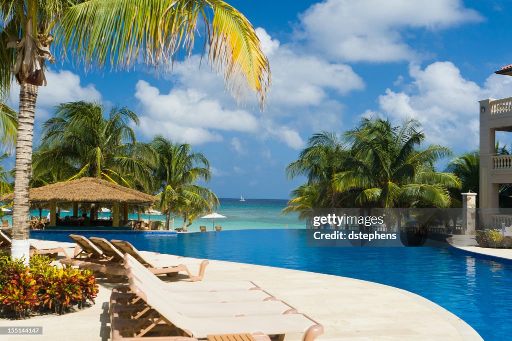 A tropical resort pool in front of the ocean