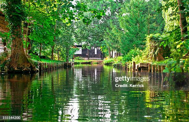 river landschaft mit grünen wald im spreewald/deutschland - spreewald stock-fotos und bilder